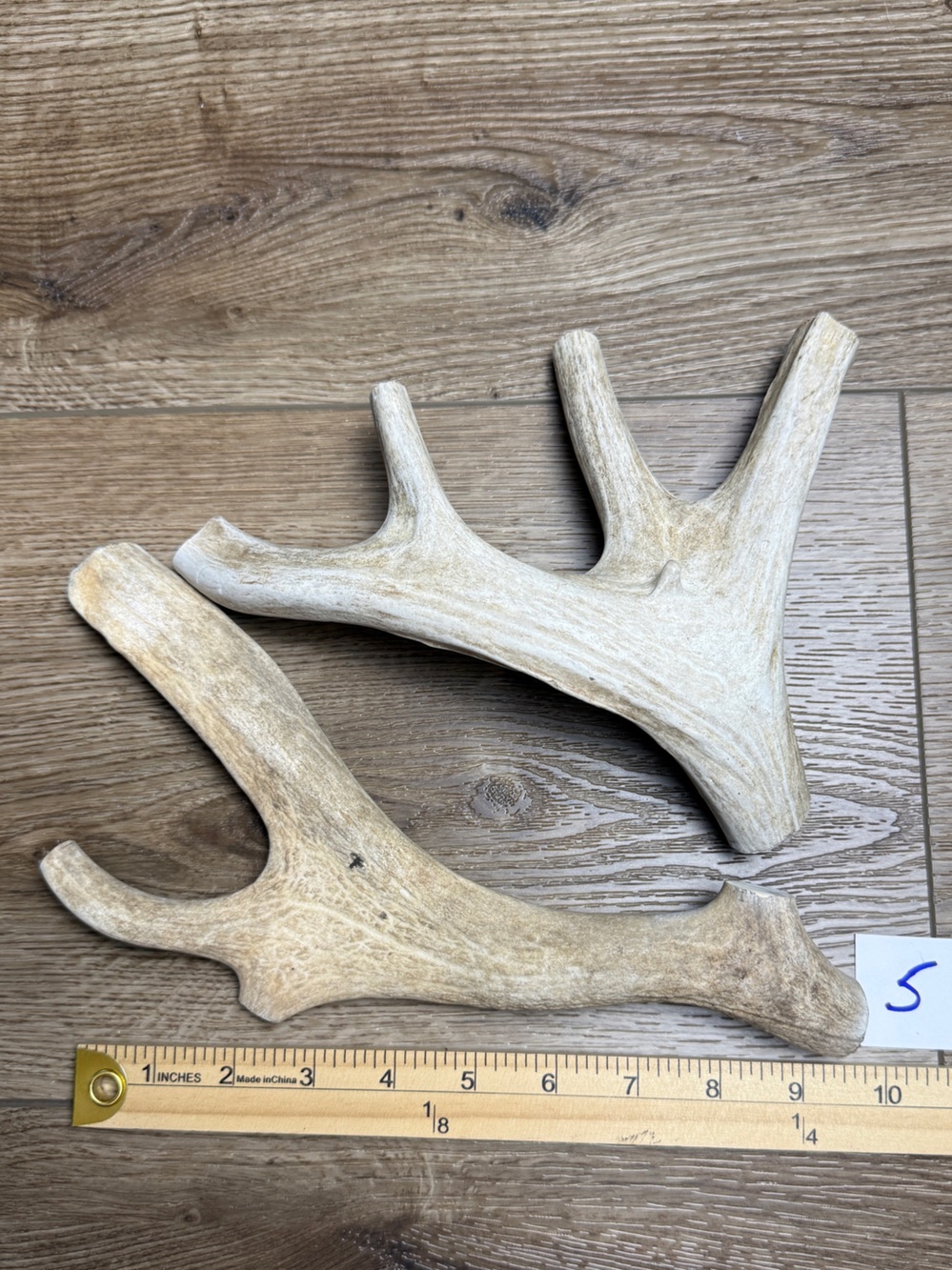 Natural Deer Antler Dog Chews – Mixed Sika, Fallow or Whitetail
